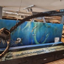 Traskasaura sandrae combina rasgos arcaicos con otros más modernos.