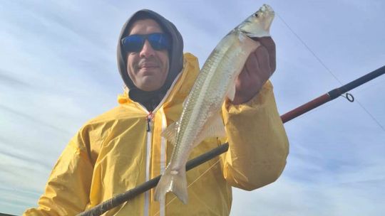 0606_mapa_pique_pesca