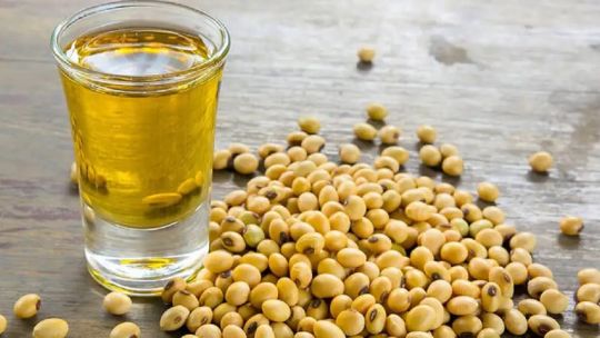 Alerta en el comercio de aceite y harina de soja para Argentina: EEUU avanza en negociaciones con India