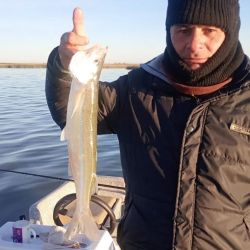 Accesible para cordobeses, bonaerenses y pampeanos, ya que se ubica en el sur cordobés, pero a su vez se encuentra situada a sólo 100 km de General Villegas, Buenos Aires; y a poco más de 30 km de Bernardo Larroudé, en La Pampa. 