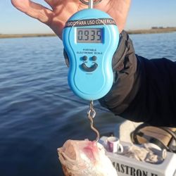 Accesible para cordobeses, bonaerenses y pampeanos, ya que se ubica en el sur cordobés, pero a su vez se encuentra situada a sólo 100 km de General Villegas, Buenos Aires; y a poco más de 30 km de Bernardo Larroudé, en La Pampa. 