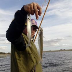 La pesca se hace embarcados, y en estos momentos, paga bien los aparejos del tipo paternóster, en una laguna que llega en sectores a los 3,5 m. de profundidad. 