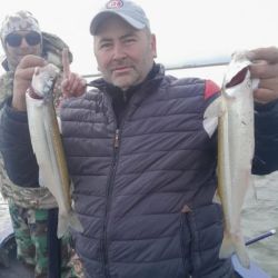 La pesca se hace embarcados, y en estos momentos, paga bien los aparejos del tipo paternóster, en una laguna que llega en sectores a los 3,5 m. de profundidad. 