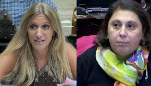 "Degradan al Congreso, lastiman personas", la crítica de Oliveto a Carignano