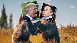 080625_osos_trump_musk_temes_g