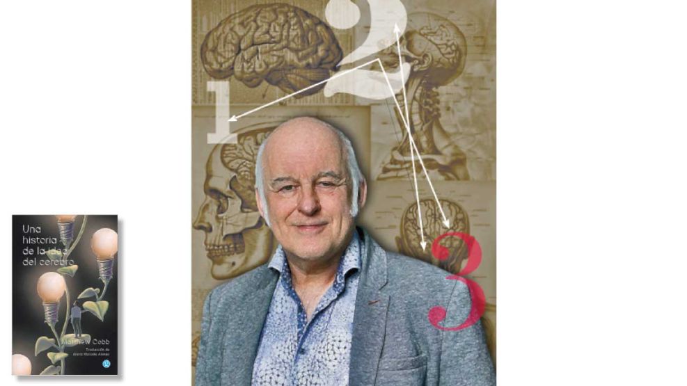 08_06_2025_matthew_cobb_pablotemes_g