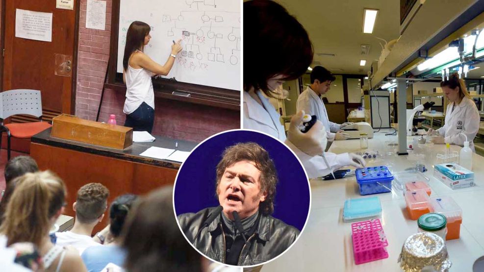 08_06_2025_milei_ciencia_universidad_cedoc_g