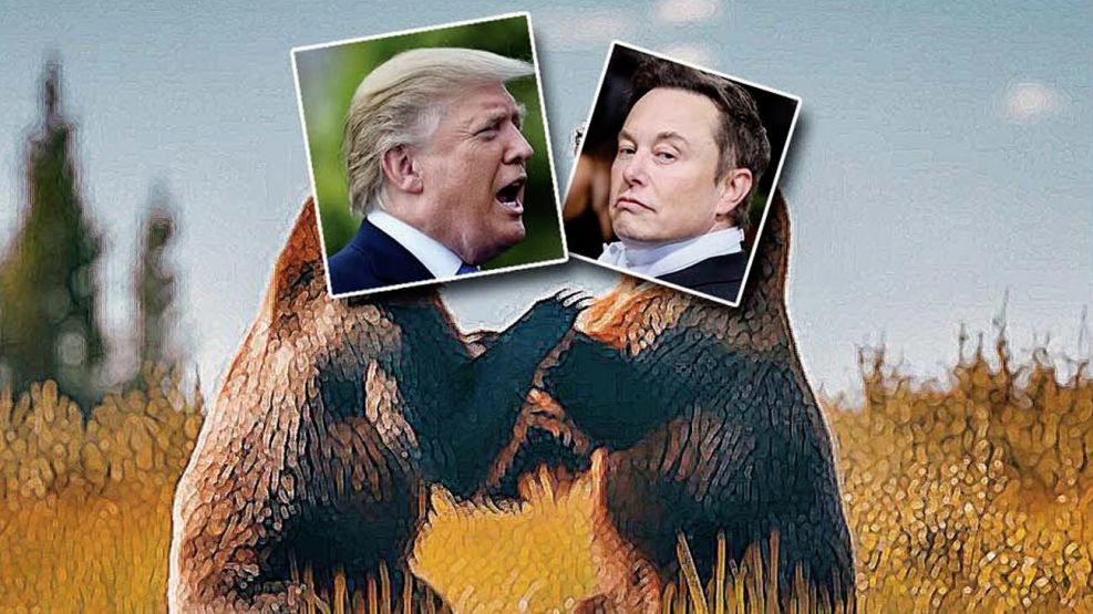 080625_osos_trump_musk_temes_g