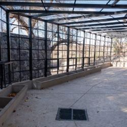 Los animales cuentan con un patio central amplio y sin cubierta, con el objetivo de promover el ejercicio y comportamiento exploratorio.
