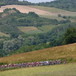 El pelotón ciclista pedalea durante la 2.ª etapa de la 77.ª edición del Critérium du Dauphine, una carrera ciclista de 204,6 km entre Prémilhat e Issoire. | Foto:ANNE-CHRISTINE POUJOULAT / AFP
