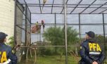 Rescatan animales en peligro de extinción de un zoológico clandestino bonaerense