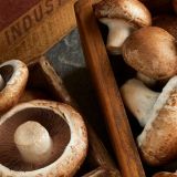 Hongos portobellos 