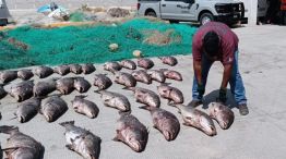 Cumbre ambiental de oceanos 2025