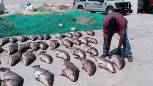 Cumbre ambiental de oceanos 2025