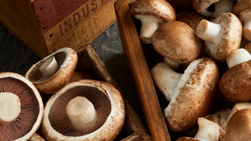 Hongos portobellos 