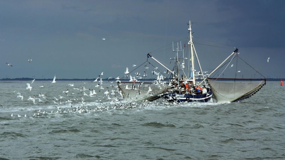 Pesca