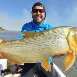 A la pesca actual se suma la chance de dos especies muy atrayentes para los pescadores de la zona como los moncholos laguneros y el amarillo.