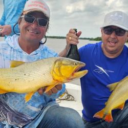 A la pesca actual se suma la chance de dos especies muy atrayentes para los pescadores de la zona como los moncholos laguneros y el amarillo.