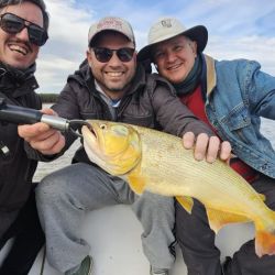 A la pesca actual se suma la chance de dos especies muy atrayentes para los pescadores de la zona como los moncholos laguneros y el amarillo.