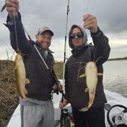 A la pesca actual se suma la chance de dos especies muy atrayentes para los pescadores de la zona como los moncholos laguneros y el amarillo.