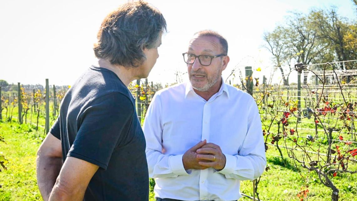 «Vino Buenos Aires»: el documental que celebra la vitivinicultura bonaerense ya se emite por Telefe