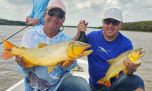 Tarariras, dorados y moncholos laguneros, triplete de especies en Sauce Viejo
