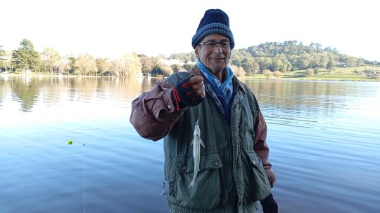 1006_tandil