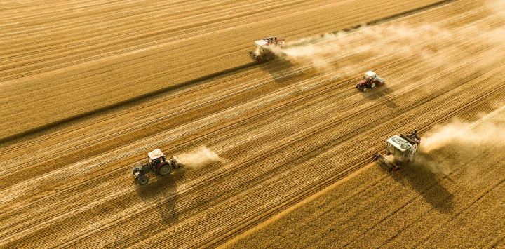 Imagen tomada con un dron de cosechadoras segando trigo en los campos, en la aldea de Pantang del poblado de Lizhuang, en la ciudad de Shangqiu, en la provincia de Henan, en el centro de China.