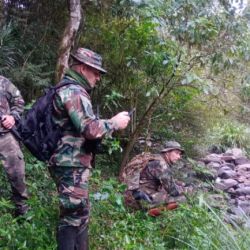 El operativo fue realizado para detectar posibles delitos ambientales.
