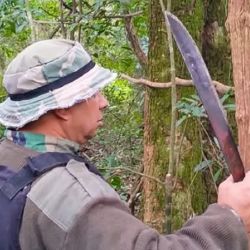 El operativo tuvo lugar en la zona sur del parque.