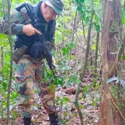 El operativo tuvo lugar en la zona sur del parque.