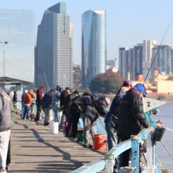 Fundada el 7 de junio de 1936 por 73 socios que la denominaron Asociación Argentina de Pesca, esta institución porteña posee una rica historia, con un muelle que es uno de los más largos de Sudamérica.