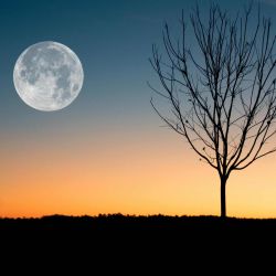 Luna llena de junio.
