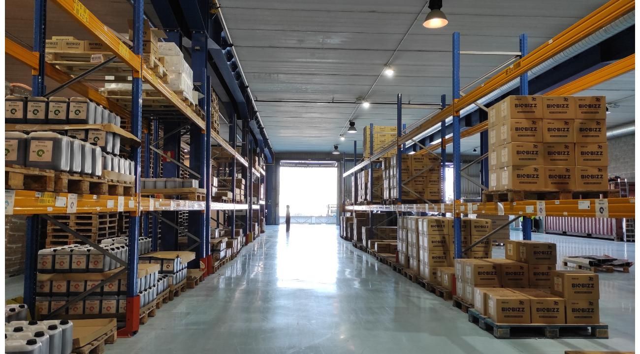 Cultivar la industria verde: la expansión del cultivo orgánico de cannabis en Argentina
