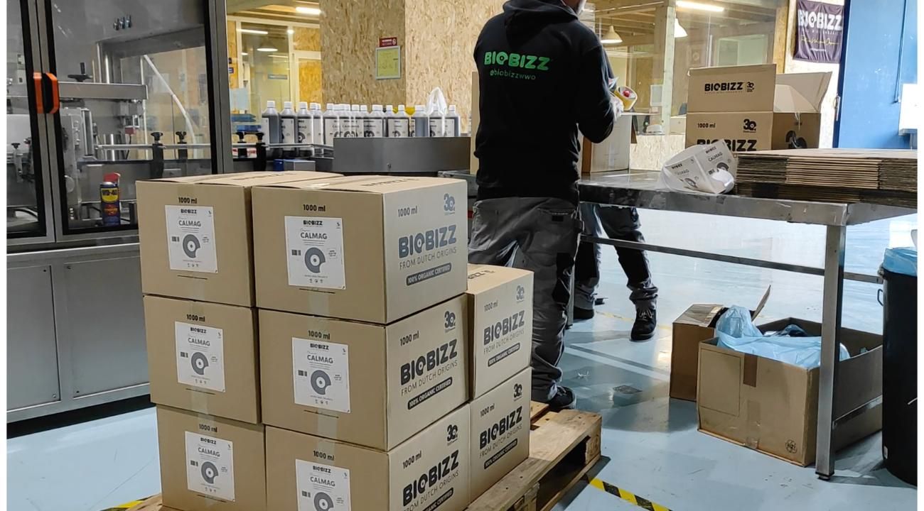 Cultivar la industria verde: la expansión del cultivo orgánico de cannabis en Argentina