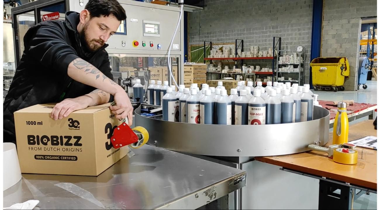 Cultivar la industria verde: la expansión del cultivo orgánico de cannabis en Argentina