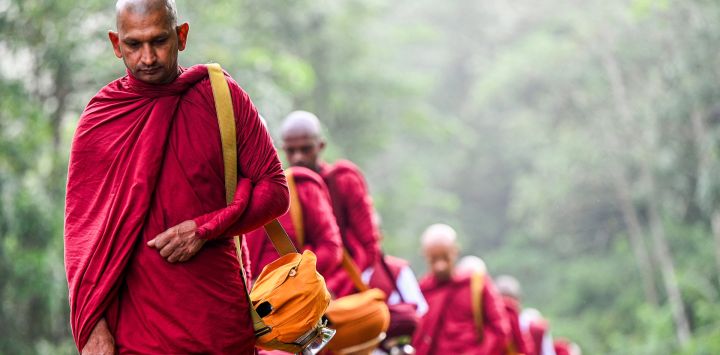 Monjes budistas portan cuencos tradicionales para pedir limosna en Ingiriya, durante el festival religioso Poson Poya, que marca la llegada del budismo a Sri Lanka.