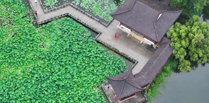 Vista aérea tomada con un dron de personas disfrutando de flores de loto, en Wuhan, en la provincia de Hubei, en el centro de China.
