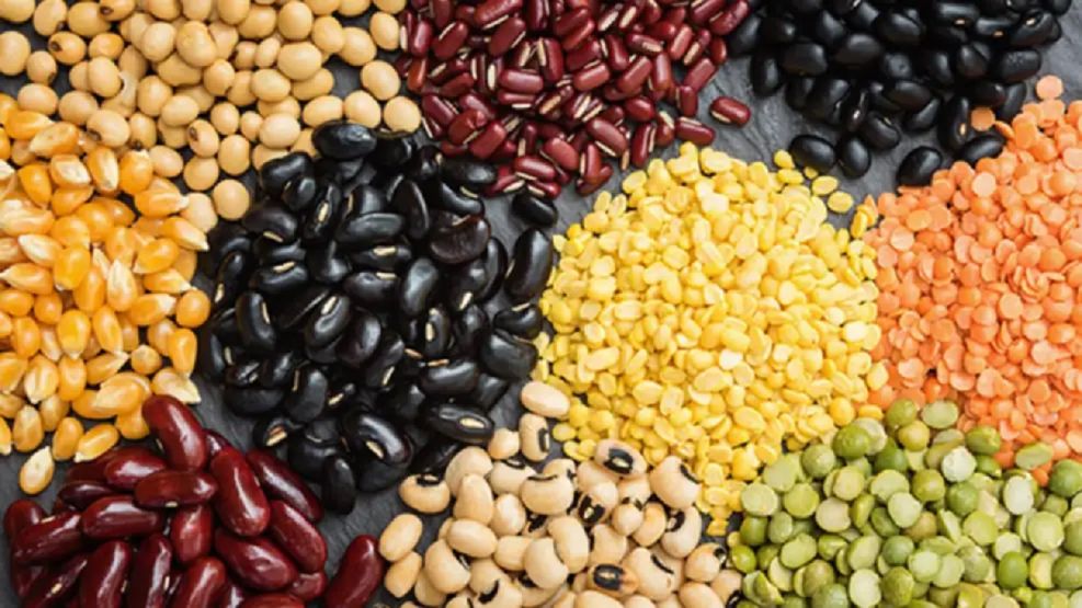 Legumbres