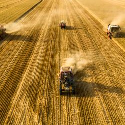 magen tomada con un dron de cosechadores segando trigo en los campos, en la aldea de Pantang del poblado de Lizhuang, en la ciudad de Shangqiu, en la provincia de Henan, en el centro de China. | Foto:Xinhua/Li Heng