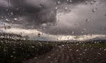 Clima en la Ciudad de Buenos Aires: sábado 14 de junio