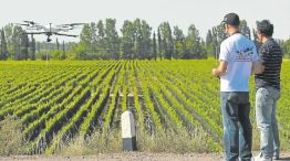 Drones y agro