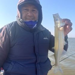 Junio arrancó con escasas lluvias pero con frío y malas condiciones en el mar. Ambas situaciones afectaron el pique. 