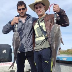 Junio arrancó con escasas lluvias pero con frío y malas condiciones en el mar. Ambas situaciones afectaron el pique. 
