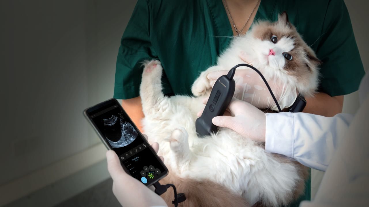 Tech pet | Foto:CEDOC