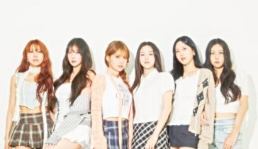 MOMOLAND