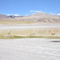 Catamarca de la mano de un guía local
