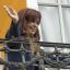  ‘Argentina with Cristina’ – Allies to join CFK at federal court surrender