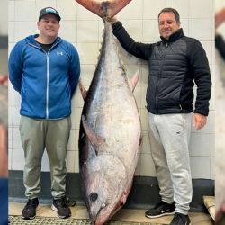 El hallazgo sorprendió a los pescadores, quienes recordaron que durante los años ´70 se capturaba en abundancia este tipo de especie, pero al sudeste de Uruguay y con ejemplares que no superaban los 3 kilos.