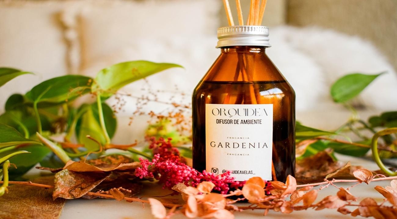 Orquídea: fragancias que aromatizan cada rincón de tu hogar.